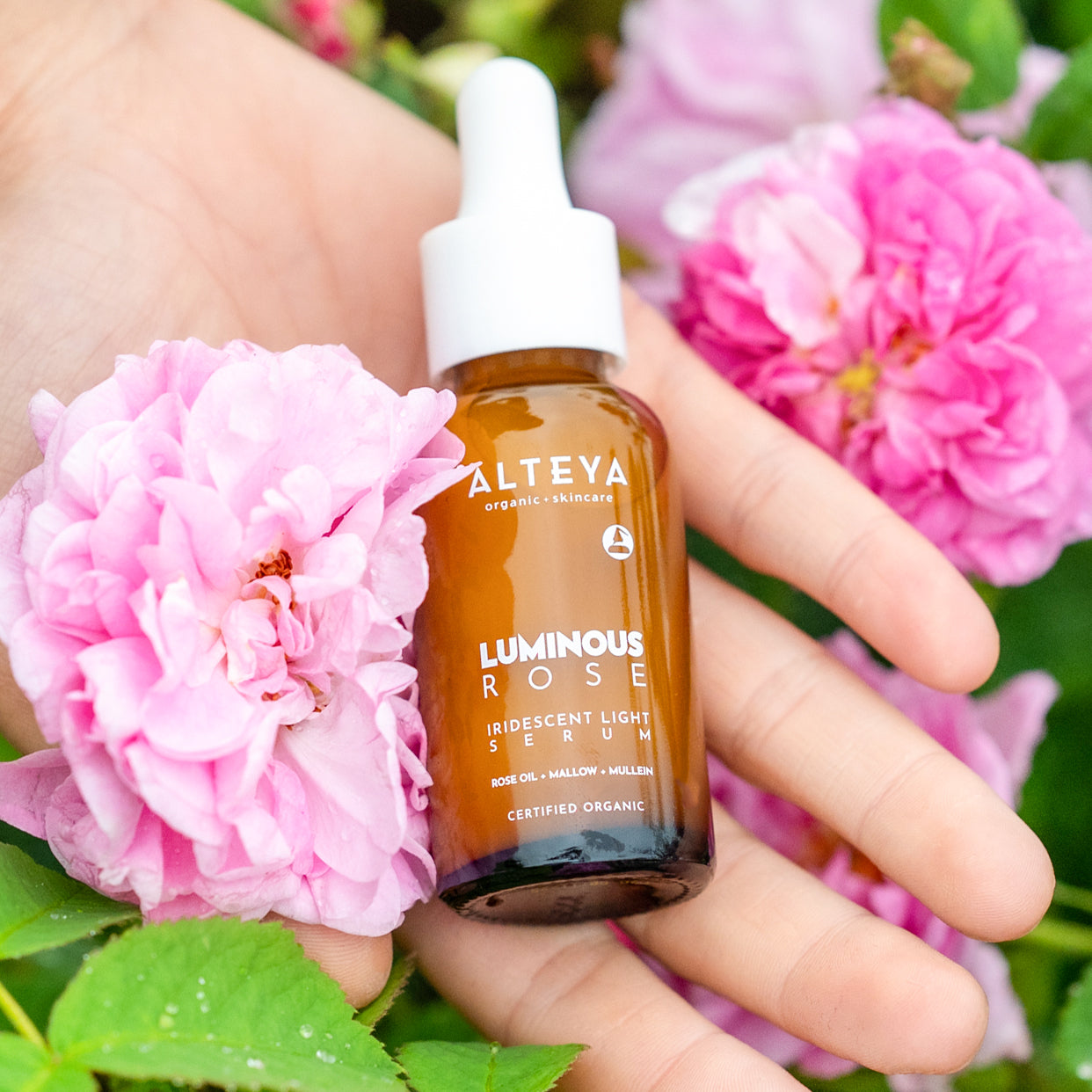 LUMINOUS ROSE IRIDESCENT LIGHT SERUM